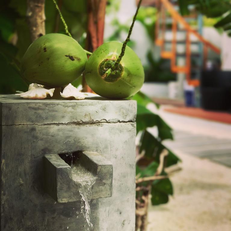 Veli Vilaa Dhiffushi Bagian luar foto